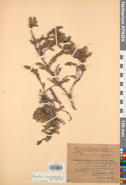 KPABG031295