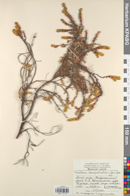 KPABG031304