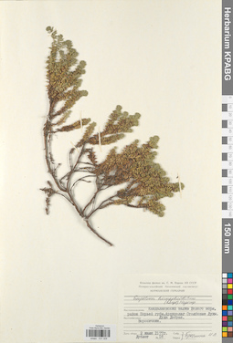 KPABG031329