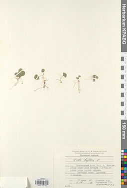 KPABG031405