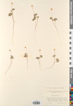 KPABG031415