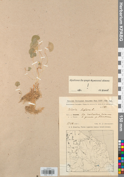 KPABG031427