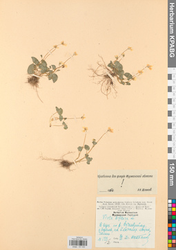 KPABG031430