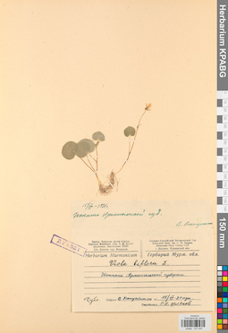 KPABG031444