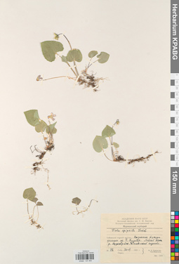 KPABG031464
