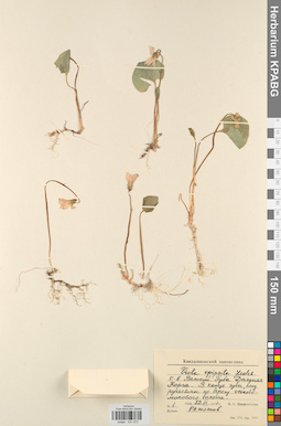 KPABG031473