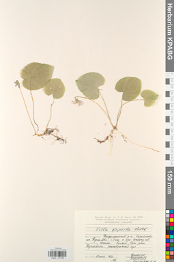 KPABG031485