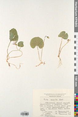 KPABG031489
