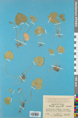 KPABG031498