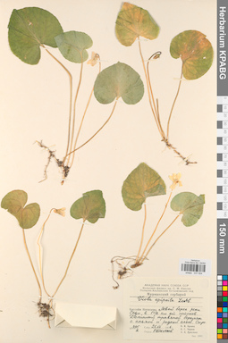 KPABG031504