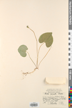 KPABG031507