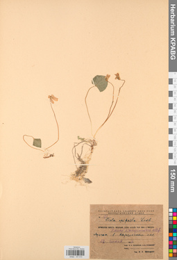 KPABG031514