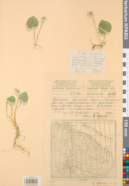 KPABG031522