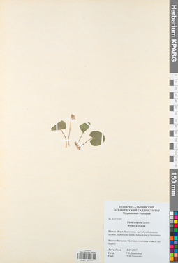 KPABG031571