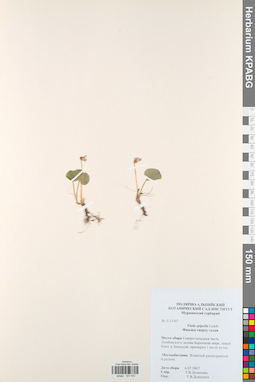 KPABG031572