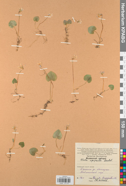 KPABG031575