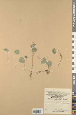 KPABG031576