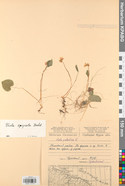 KPABG031577