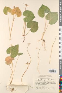 KPABG031587