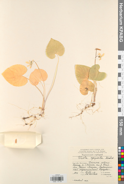 KPABG031590