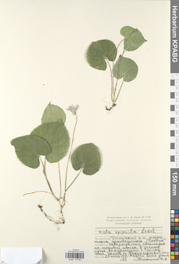 KPABG031601