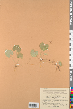 KPABG031602