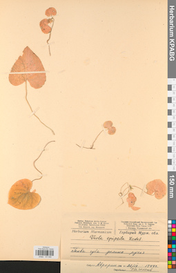KPABG031606