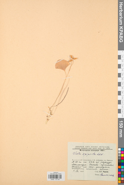 KPABG031607