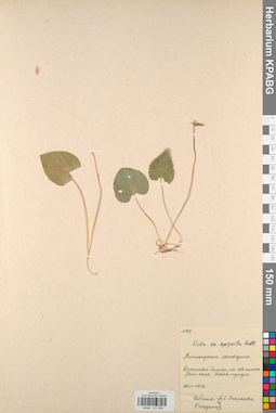 KPABG031608