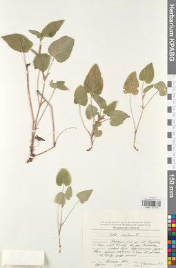 KPABG031776