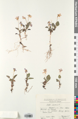 KPABG031777