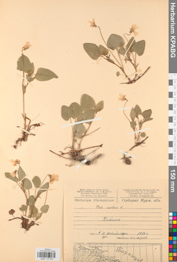 KPABG031802