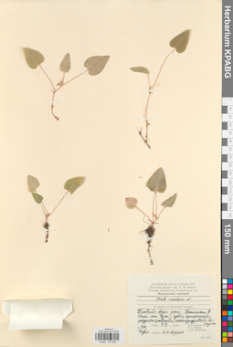 KPABG031804