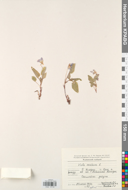 KPABG031821