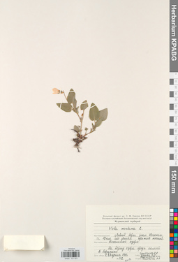 KPABG031823