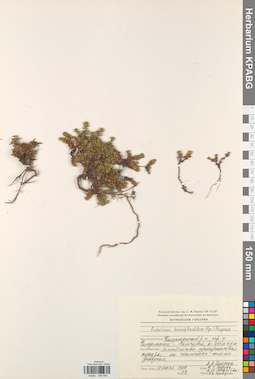 KPABG046499