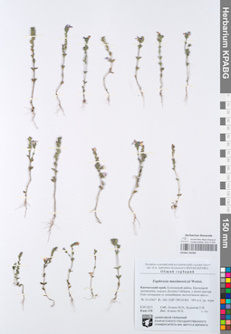KPABG102303