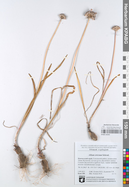 KPABG102355