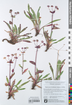 KPABG102405