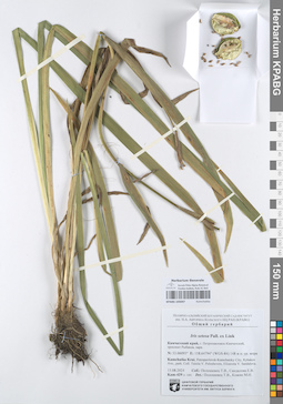 KPABG105047