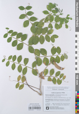 KPABG105255