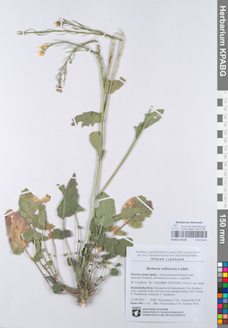 KPABG105258