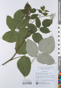 KPABG105279
