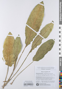 KPABG105293