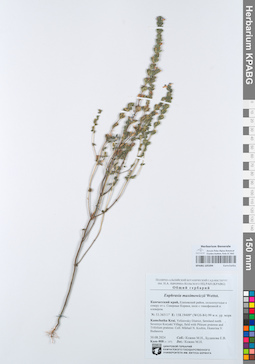 KPABG105394