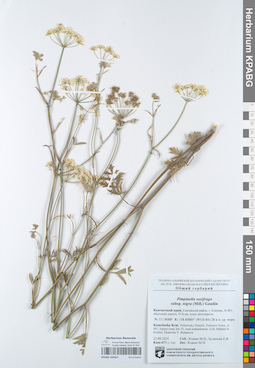 KPABG105627