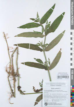 KPABG105638