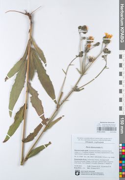KPABG105653