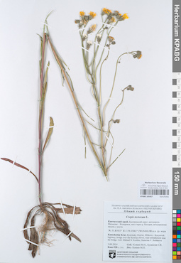 KPABG105457