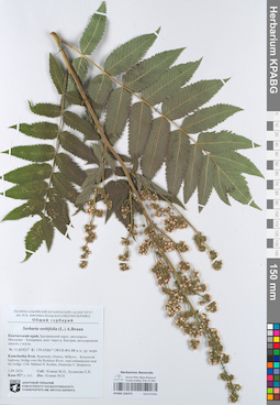 KPABG105473